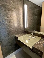Hana (D10), Condominium #552319251